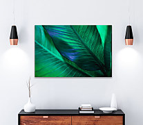 Obraz Banánovník 1813